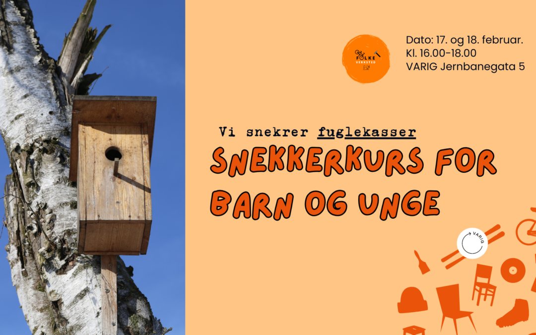Snekkerkurs for barn og unge: vi snekrer fuglekasser!